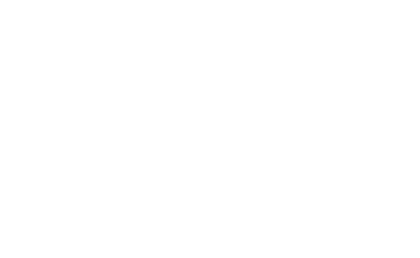 umzugsunternehmen logo